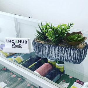 THC HUB CANNABIS Store