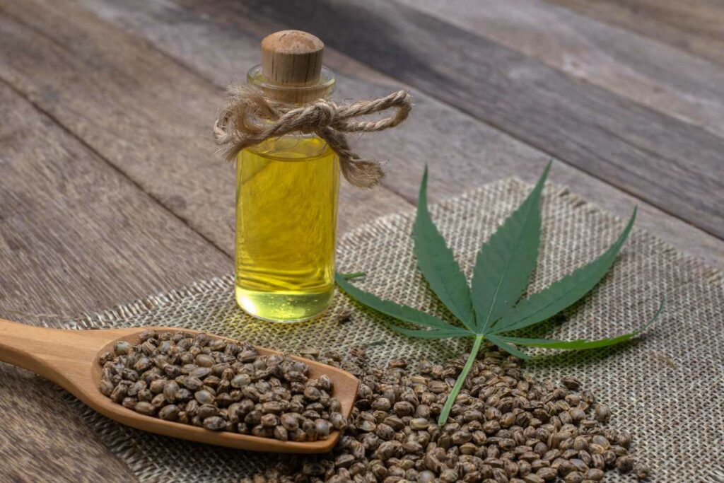 CBD Oil and the Gut-Brain Connection What New Research Suggests