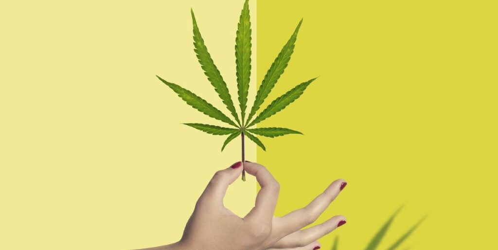 CBD Oil for Hormonal Balance in Women
